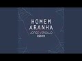 Homem Aranha (Remix)