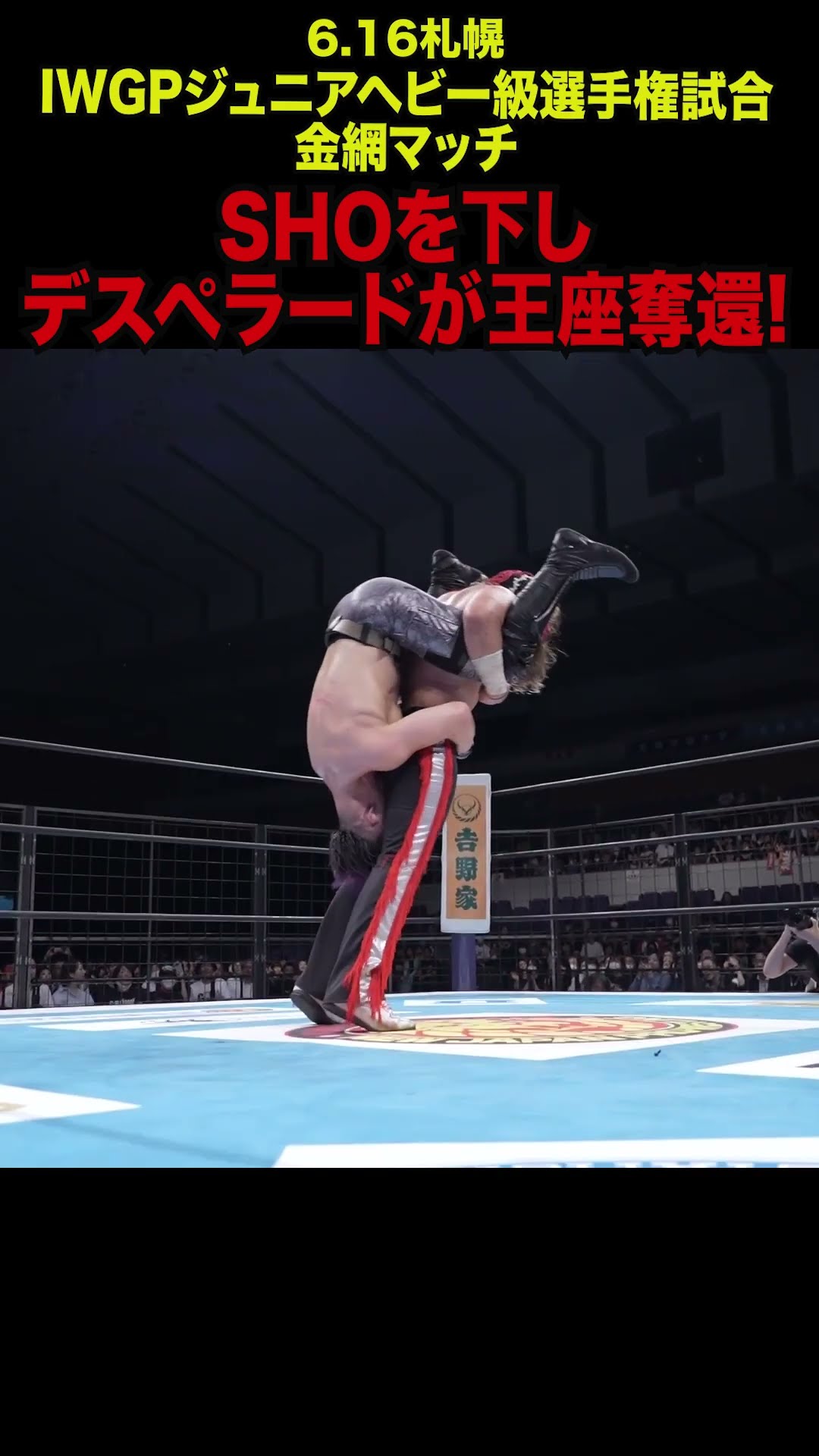 新日本プロレス】SHOを下しデスペラードが王座奪還! #shorts