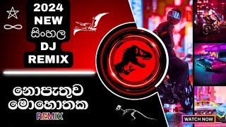 2024 New Sinhala Dj Remix | 6-8 Congo Dholki Mix | Nopathuwa Mohothaka | නොපැතුව මොහොතක | Dj Nimesh