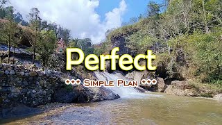 Perfect - KARAOKE VERSION - in the style of Simple Plan