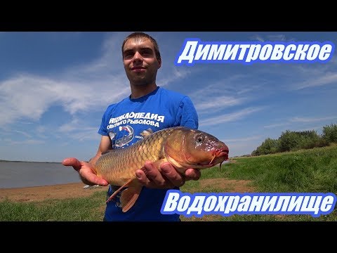 Video: Dmitrov reservoir (Orenburg) - nuv ntses thiab ua si txhua lub sijhawm ntawm lub xyoo