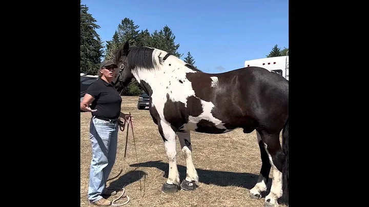 How to park your horse with a hand gesture  (pt 2,...