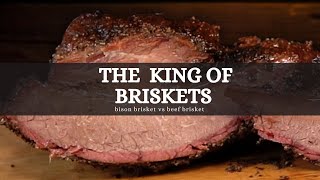 How DIFFERENT is a BISON BRISKET from a BEEF BRISKET | Salty Tales