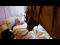 Ehpad : Peyo, ce cheval qui visite les patients jusque dans leur chambre