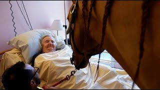 Ehpad : Peyo, ce cheval qui visite les patients jusque dans leur chambre