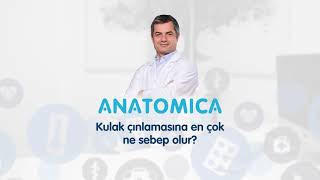 Kulak Çınlamasına En Çok Ne Sebep Olur ?