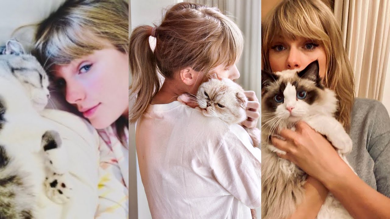 Photos from Taylor Swift's Cutest Cat Photos