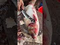 Bighead Fish Cutting 🔥 Satisfying Knife Skills #shorts