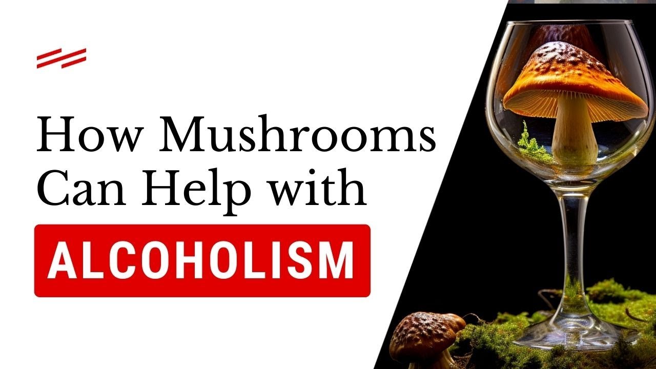 How Psilocybin Mushrooms Can Help With Alcoholism YouTube