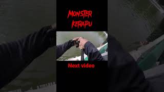 Kerapu Monster