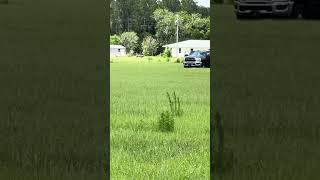 First projectile found 250 yards white hot/ 777 pyrodex 209 loads