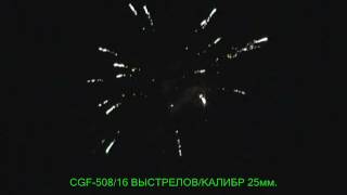 CGF 508