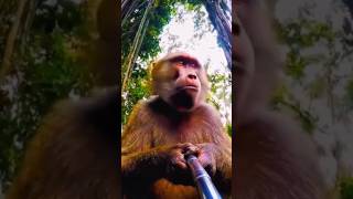 How to Date in the Jungle: Monkey Tips 🐒🌿