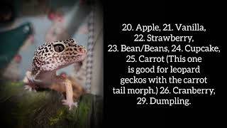 35 Gecko Name Ideas