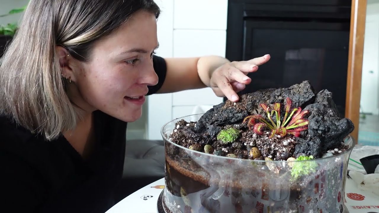 I’m building a carnivorous plant bog