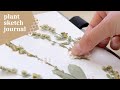 Relaxing Outdoor Sketch with Me 