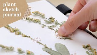 Relaxing Outdoor Sketch with Me 