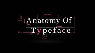 What Is Typography A Beginner's Guide to Type Terms