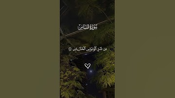 تلاوة جميلة من( سورة الناس) #اكتب_شي_تؤجر_عليه #المصحف