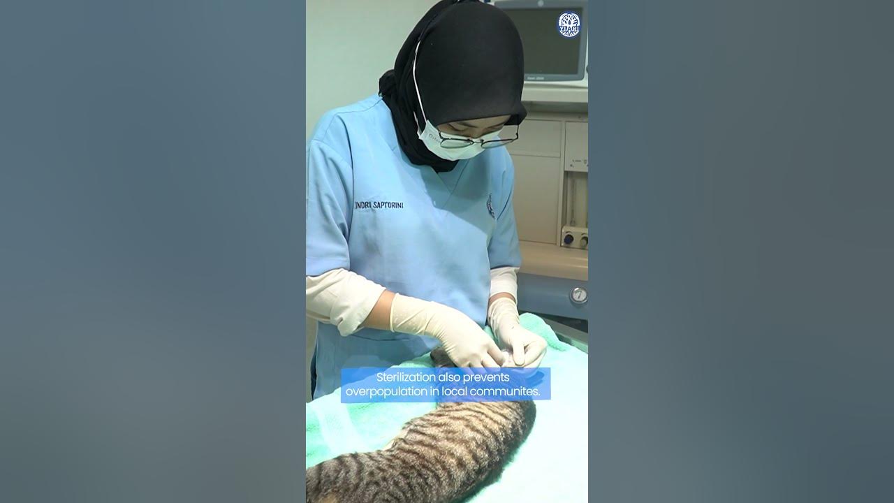 This is Why Sterilization is SO Important! YouTube