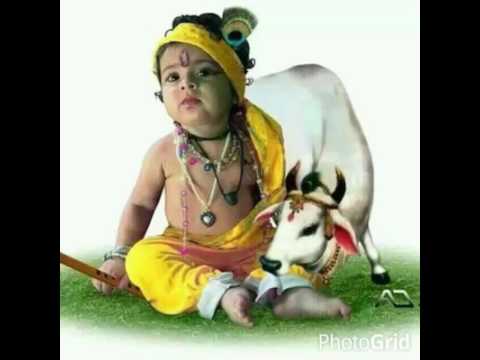 Download Good morning video....jai shree krishna