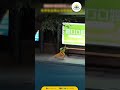 Daripada Gak Ngapa-ngapain Pas Nunggu Bus, Adik Ini Malah Latihan Silat