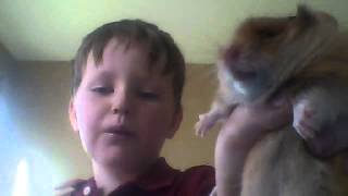 kid hamster SUPER CUTE!