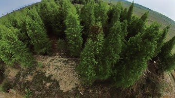 BETAFPV X-knight FPV for Insta 360 one r in Taiwan