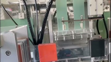 Fully auto TPE PE CPE disposable gloves folding packing machine