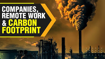How companies account for remote work in their carbon footprints | WION Originals
