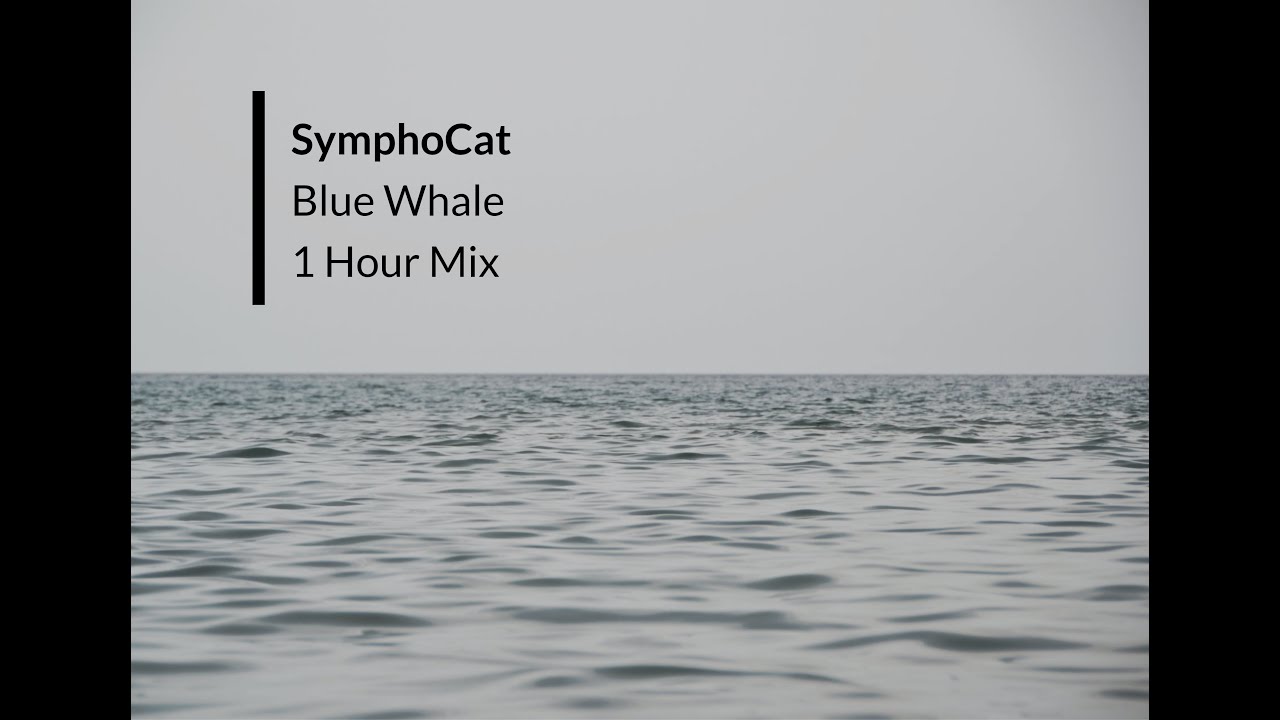 SymphoCat - Blue Whale | 1 Hour Mix SymphoCat - Blue Whale | 1 Hour Mix