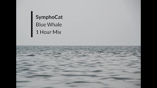 SymphoCat - Blue Whale | 1 Hour Mix