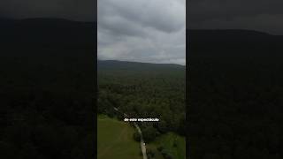 Tlaxcala SÍ EXISTE | Santuario de Luciérnagas #mexico #mexicomagico #mexicodesconocido #parati