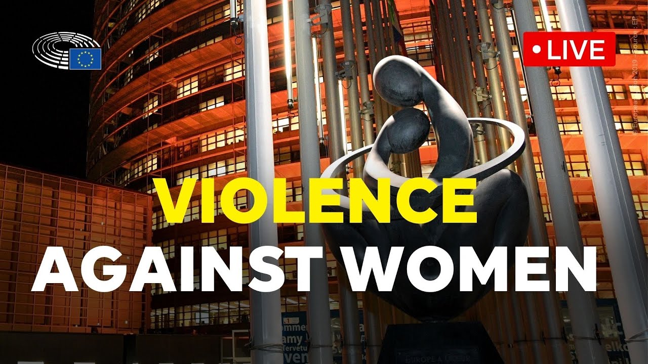 Violence against women: members of Parliament assess the situation in ...