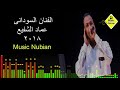 اجمل الاغانى السودانية مع الفنان السودانى عماد الشفبع فى حفلات النوبى 2018 