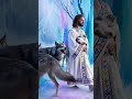 Jesus Protects a Tiny Cat in the Snow 🐱❄️✨ #Jesus #Shorts #Faith