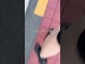 ep.31