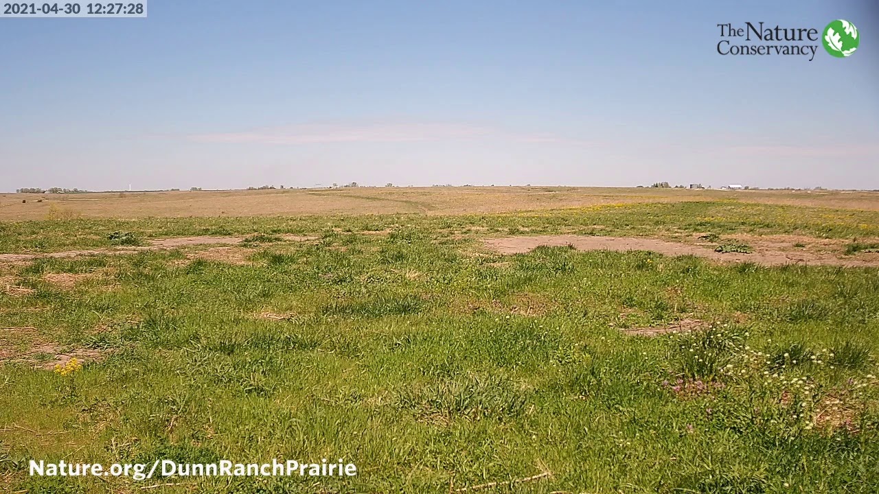 Live from Dunn Ranch Prairie! - Hatfield, MO