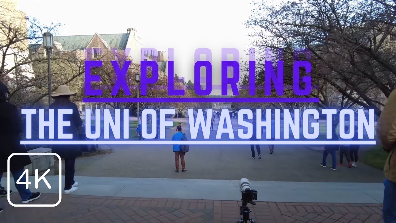 (4K) Take a Walk Through the Most Beautiful College Campus in the US at the University of Washington