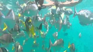 Cabo with the Borks, June 2015