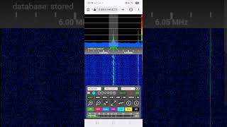 6020 khz Radio Cassanova? heard 0620 UTC 24 May 2026