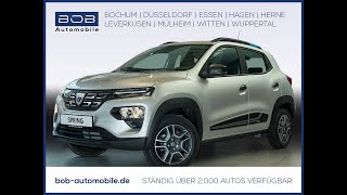 Dacia-Spring Business