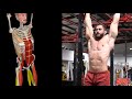 Hanging Leg Raises (Hip Flexion)