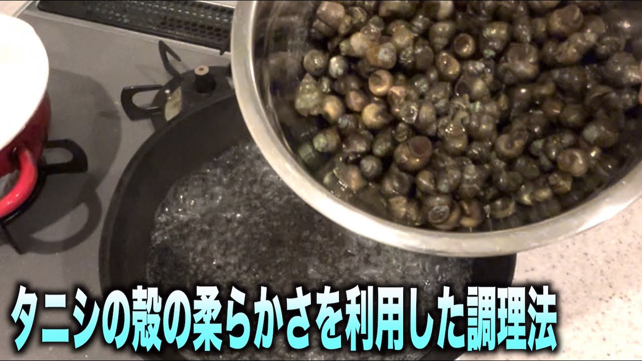 タニシの殻の柔らかさを利用した調理方法がヤバい Shorts Youtube