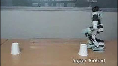 Robot Soccer (Bioloid)