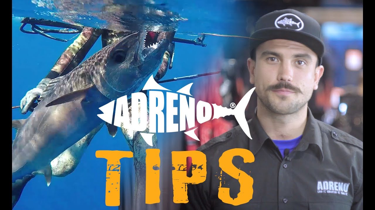 Hunting Dogtooth Tuna | ADRENO