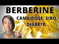 La berberine  proprits posologie dangers