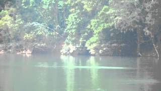 DSC 0605