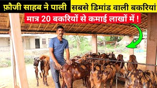 सिरोही नस्ल की बकरियों का Goat farm tour || 20 बकरियों की कमाई लाखों में | Goat farming in India