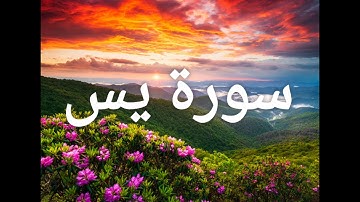 سورة يس كاملة بصوت القارئ اليمني عبد الرحمن المجلي🎧تلاوة غاية في الإبداع 💚